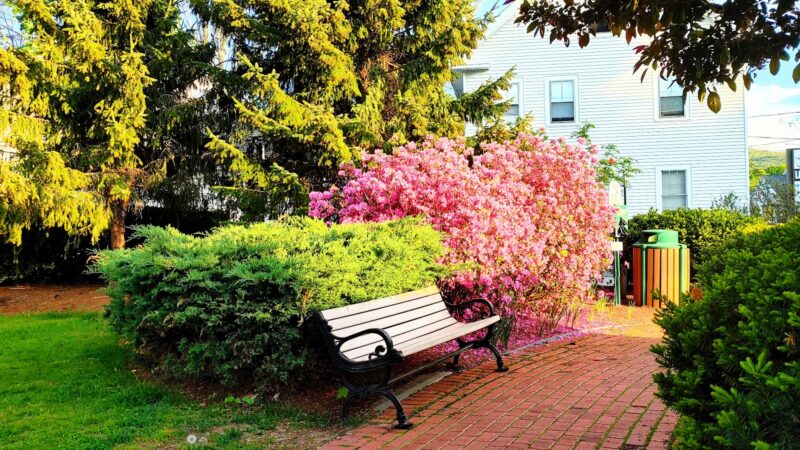 Goffstown Town Common - Goffstown, NH