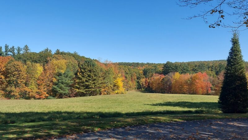 Uncanoonuc Trails Parking - Goffstown, NH
