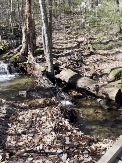 Uncanoonuc Trails Parking - Goffstown, NH