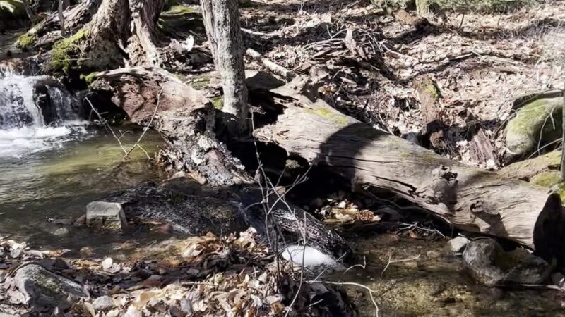 Uncanoonuc Trails Parking - Goffstown, NH