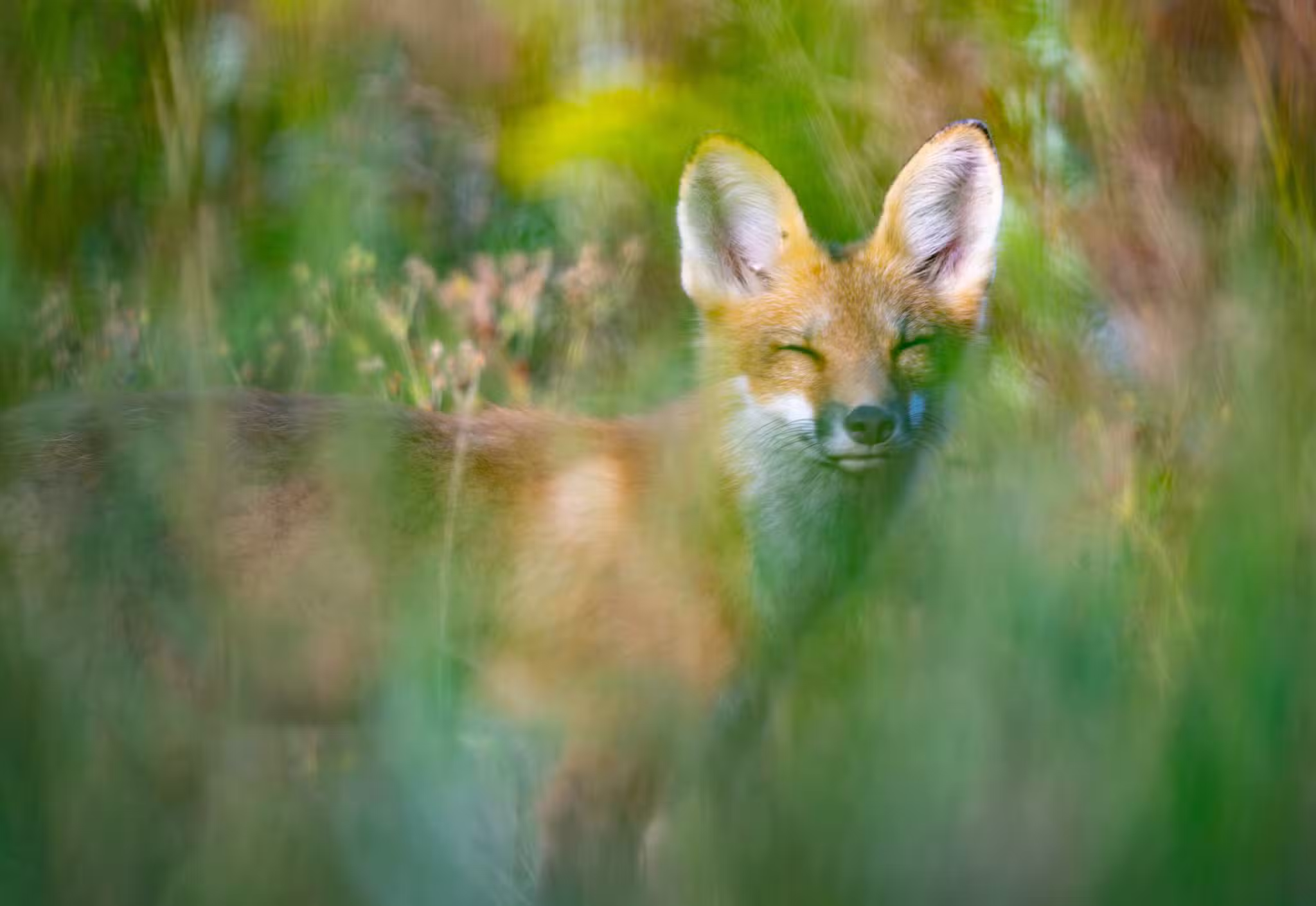 Goffstown Rail Trail Parking - Goffstown, NH