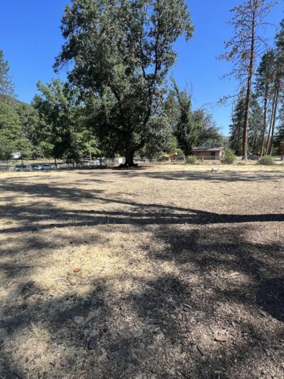 Valley of the Rogue Dog Park - Gold Hill, OR