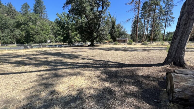 Valley of the Rogue Dog Park - Gold Hill, OR