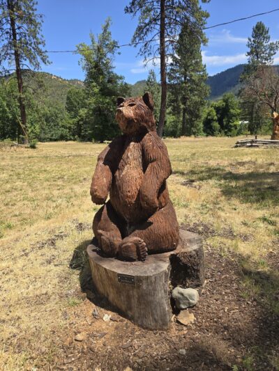 Valley of the Rogue Dog Park - Gold Hill, OR