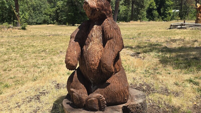 Valley of the Rogue Dog Park - Gold Hill, OR