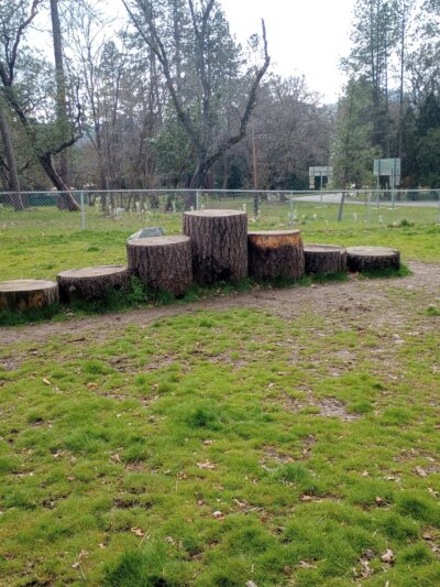 Valley of the Rogue Dog Park - Gold Hill, OR