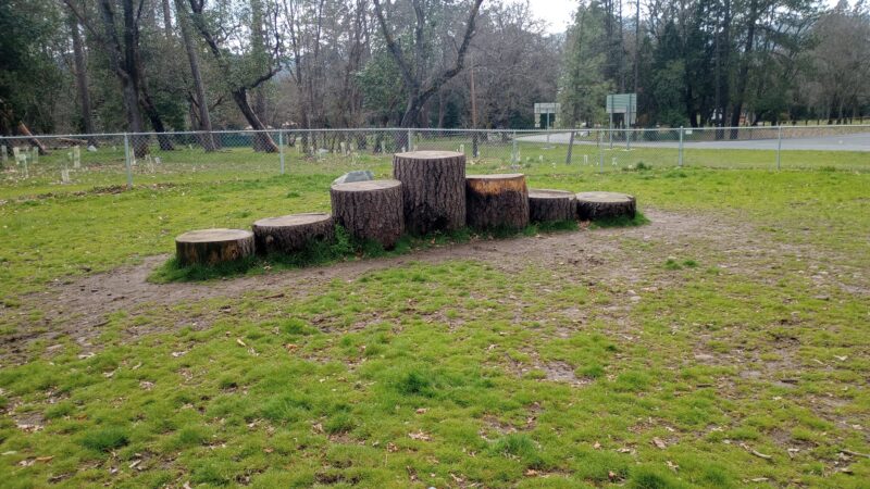 Valley of the Rogue Dog Park - Gold Hill, OR