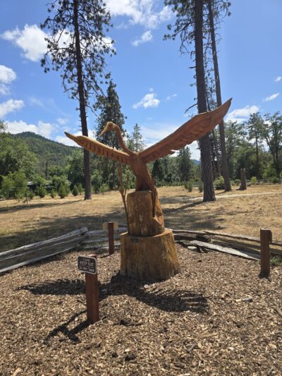 Valley of the Rogue Dog Park - Gold Hill, OR