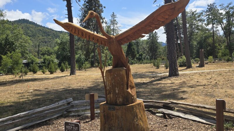 Valley of the Rogue Dog Park - Gold Hill, OR