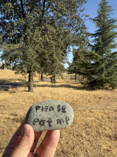 Meadowbrook Park - Golden Hills, CA