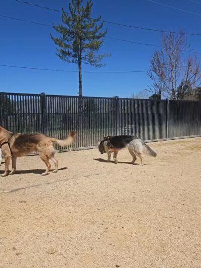 Meadowbrook Park - Golden Hills, CA