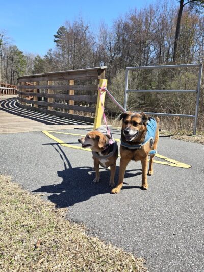 Reedy Branch Trail - Goldsboro, NC