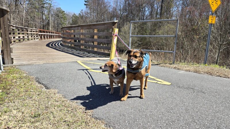 Reedy Branch Trail - Goldsboro, NC