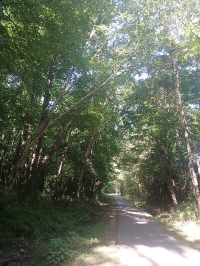 Reedy Branch Trail - Goldsboro, NC