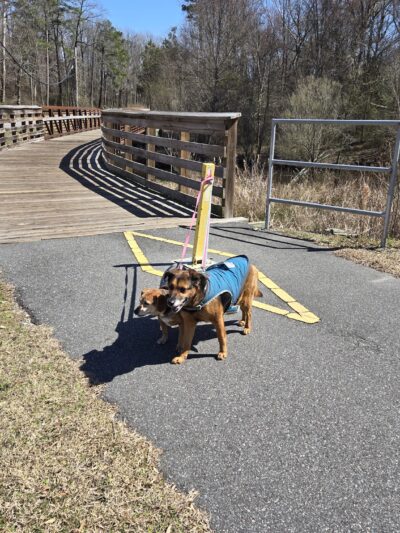 Reedy Branch Trail - Goldsboro, NC