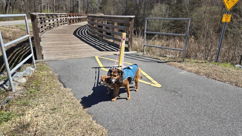 Reedy Branch Trail - Goldsboro, NC
