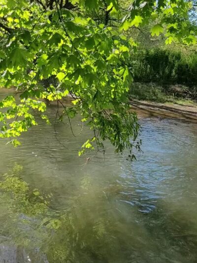 Paradise Community Park - Gordonville, PA