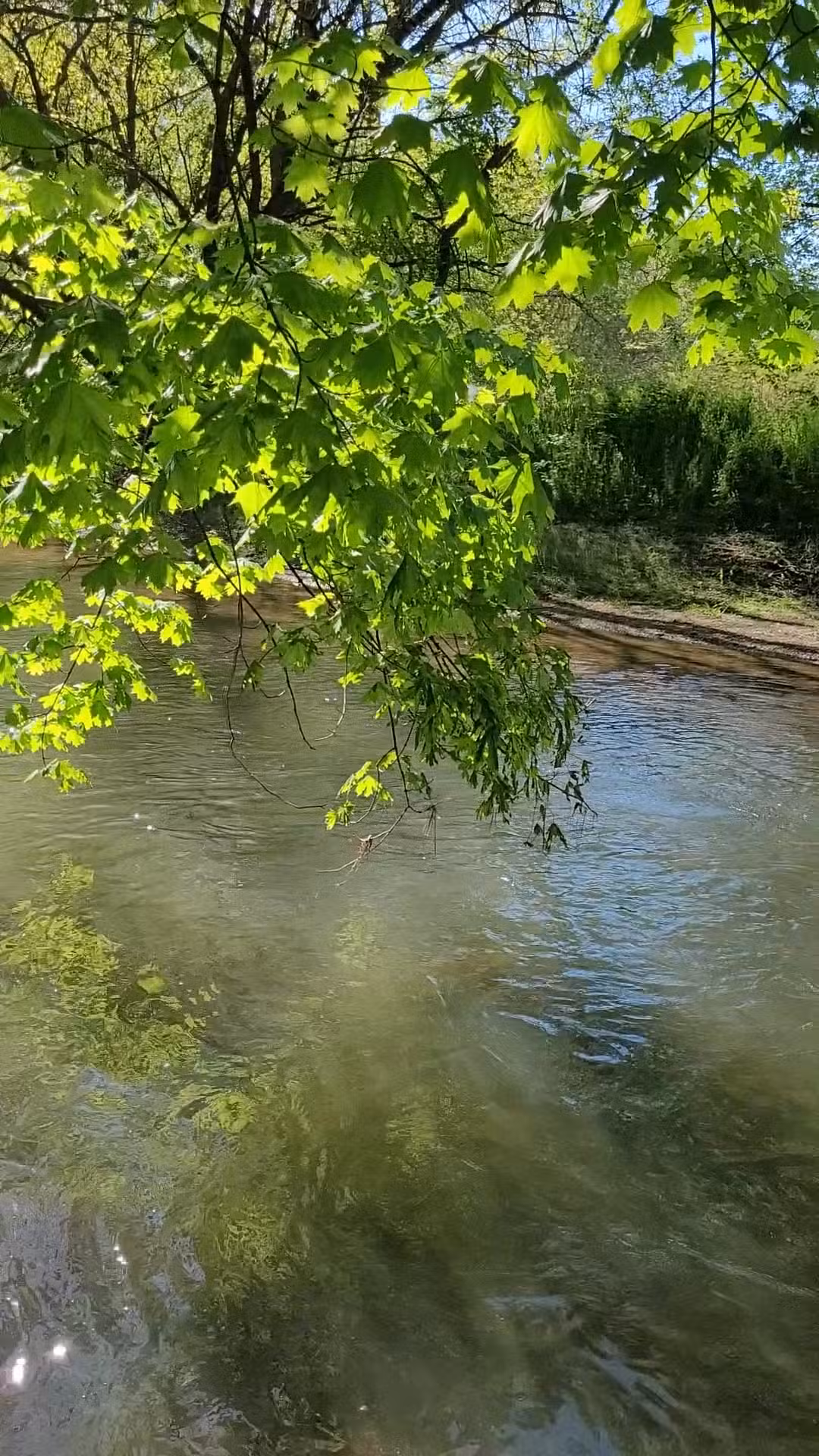 Paradise Community Park - Gordonville, PA