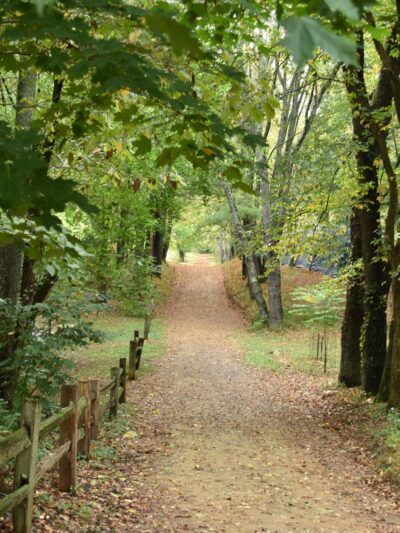 Creasey Mahan Nature Preserve - Goshen, KY