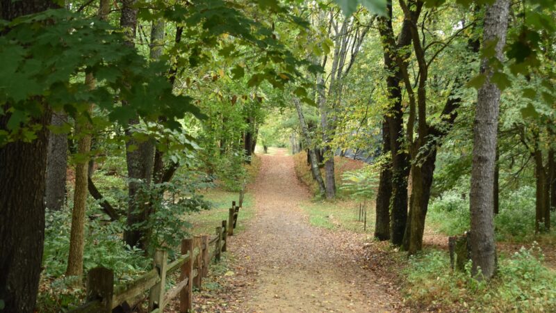 Creasey Mahan Nature Preserve - Goshen, KY