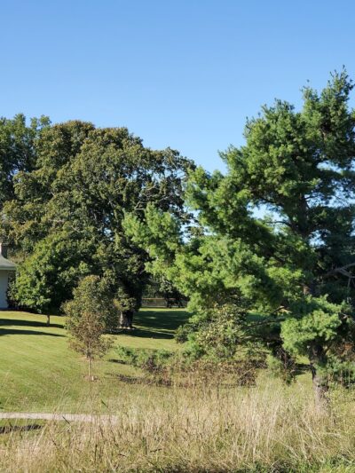Creasey Mahan Nature Preserve - Goshen, KY