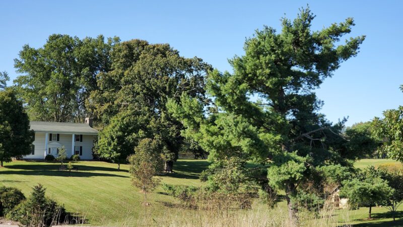 Creasey Mahan Nature Preserve - Goshen, KY