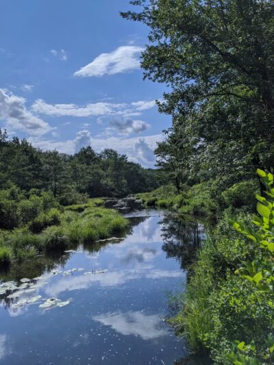 Gouldsboro State Park - Gouldsboro, PA