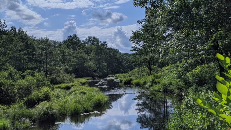 Gouldsboro State Park - Gouldsboro, PA