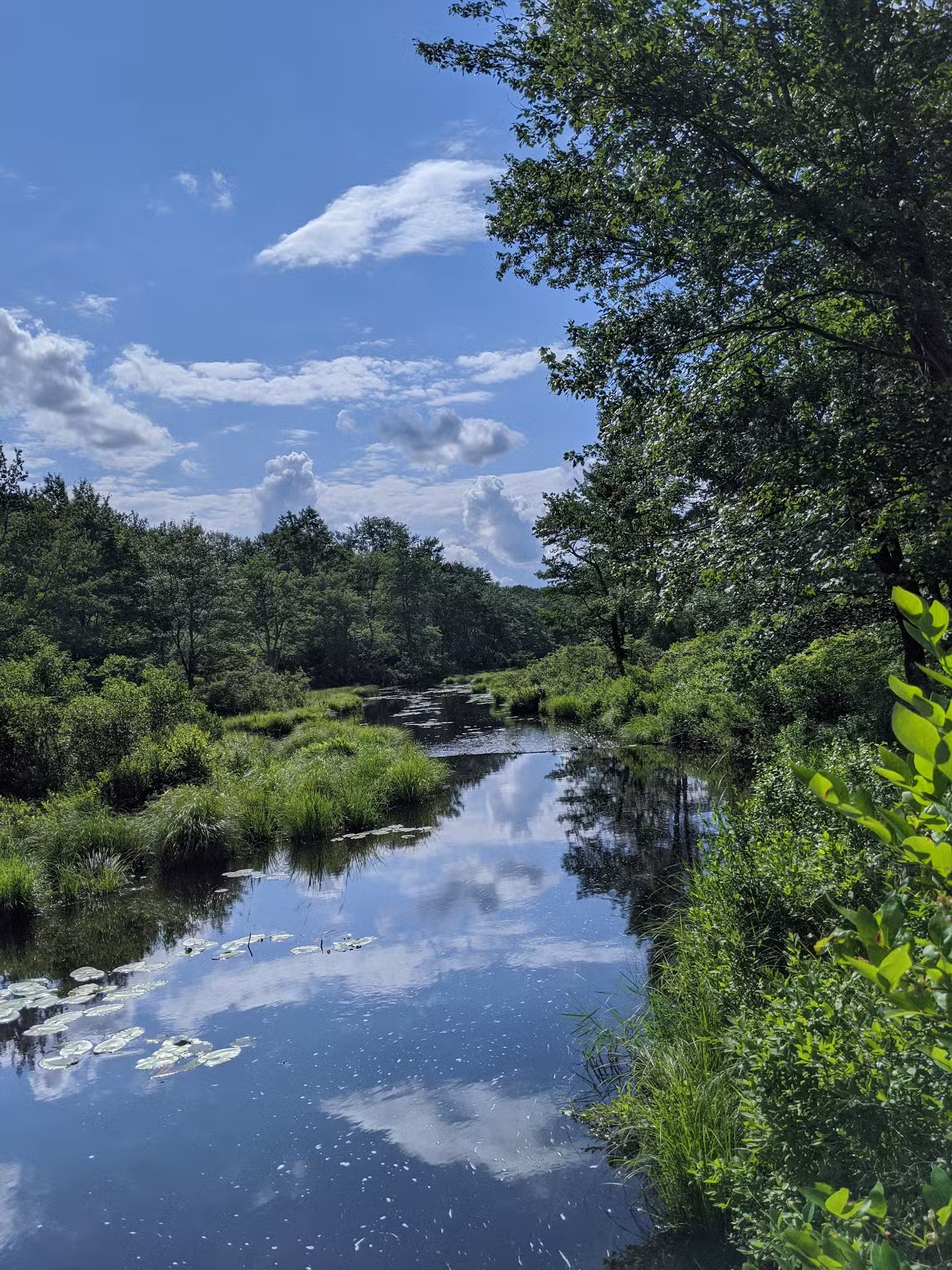Gouldsboro State Park - Gouldsboro, PA