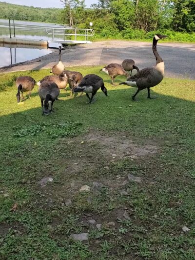 Gouldsboro State Park - Gouldsboro, PA