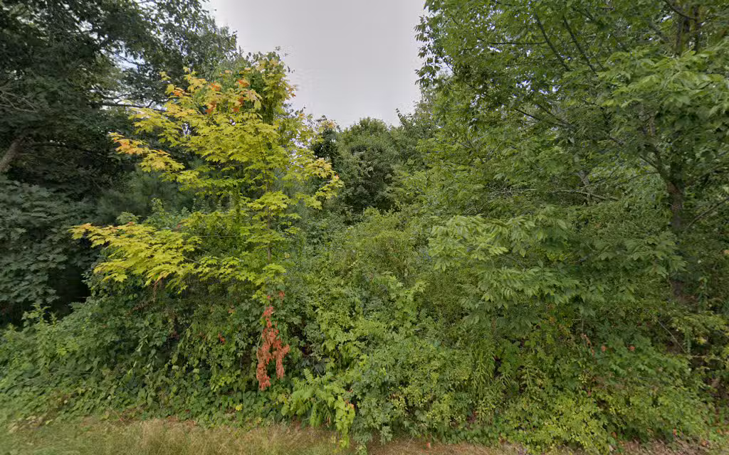Great Meadow Conservation Area - Grafton, MA