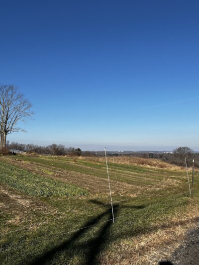 Potter Hill Meadows - Grafton, MA