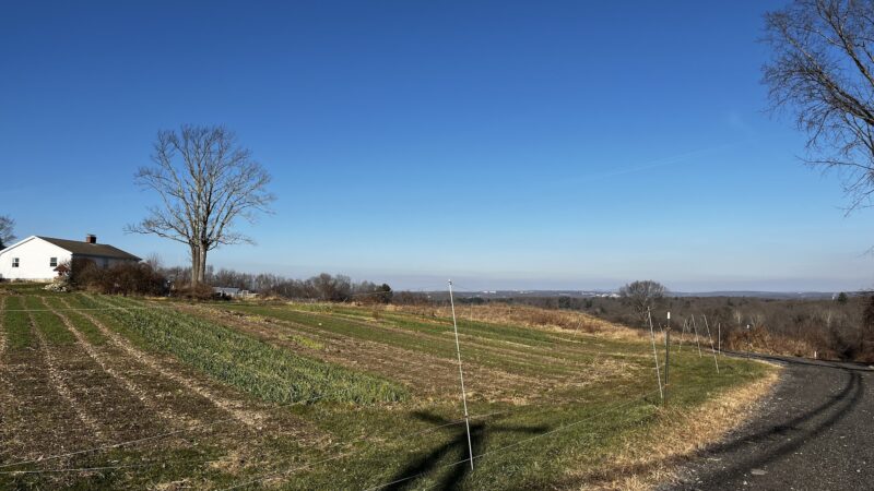 Potter Hill Meadows - Grafton, MA