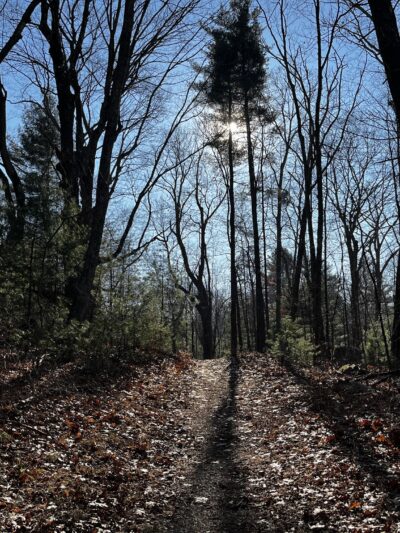 Potter Hill Meadows - Grafton, MA