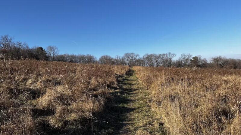 Potter Hill Meadows - Grafton, MA