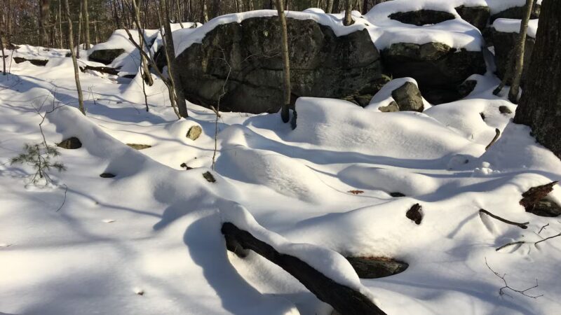 Potter Hill Meadows - Grafton, MA