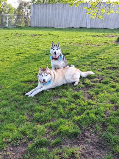 Grand Haven Dog Park - Grand Haven, MI
