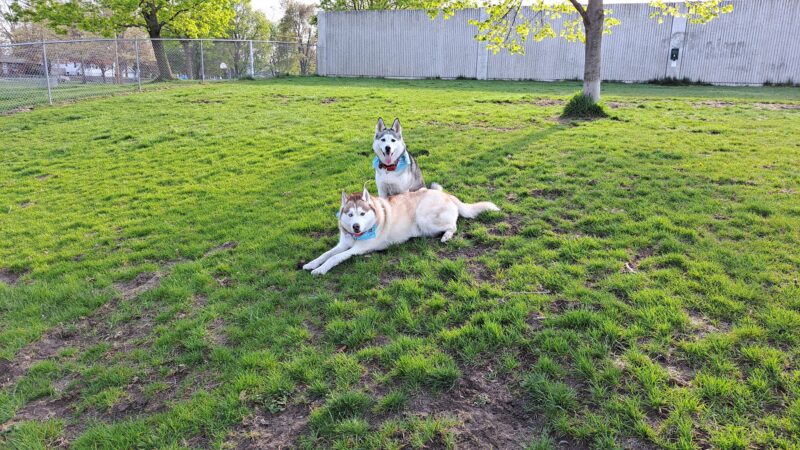 Grand Haven Dog Park - Grand Haven, MI