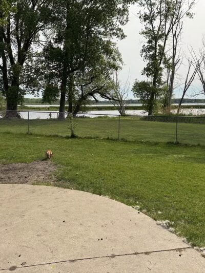 Grand Haven Dog Park - Grand Haven, MI