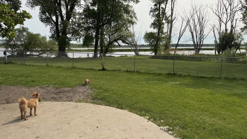 Grand Haven Dog Park - Grand Haven, MI