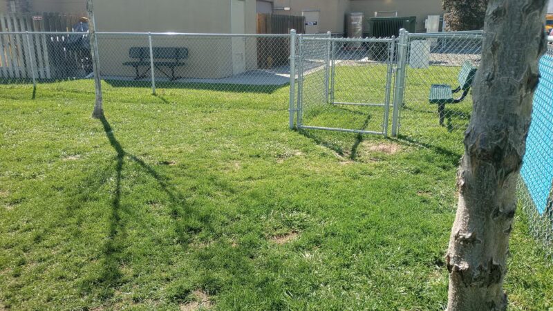 Dog Park at Love's Travel Stops - Grand Junction, CO