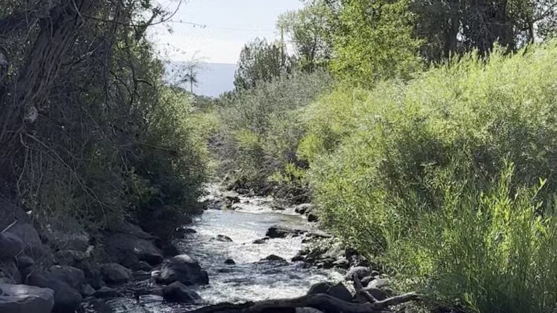 Kannah Creek Trailhead - Grand Junction, CO