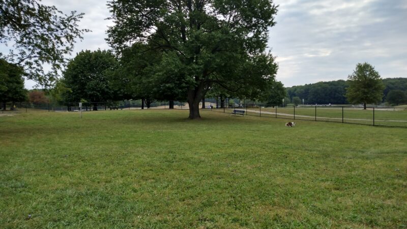 Cascade Dog Park - Grand Rapids, MI