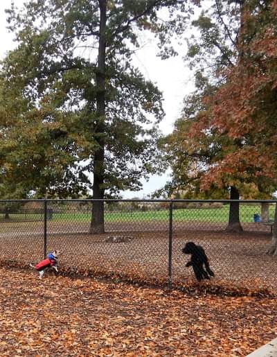 Cascade Dog Park - Grand Rapids, MI