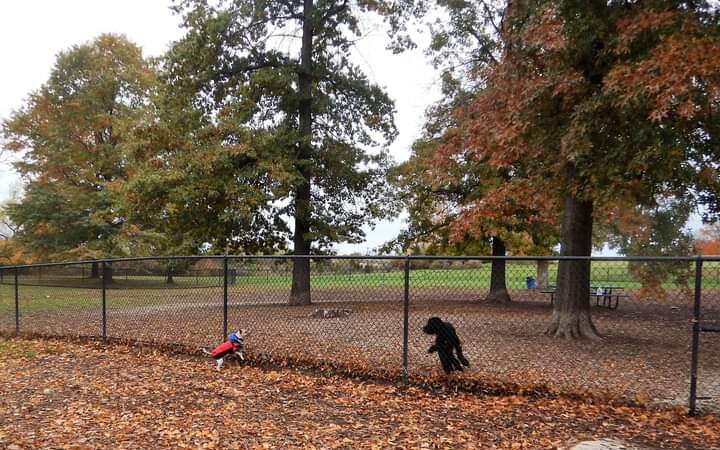 Cascade Dog Park - Grand Rapids, MI