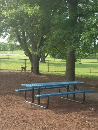 Cascade Dog Park - Grand Rapids, MI