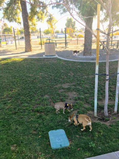 Grand Terrace Dog Park - Grand Terrace, CA