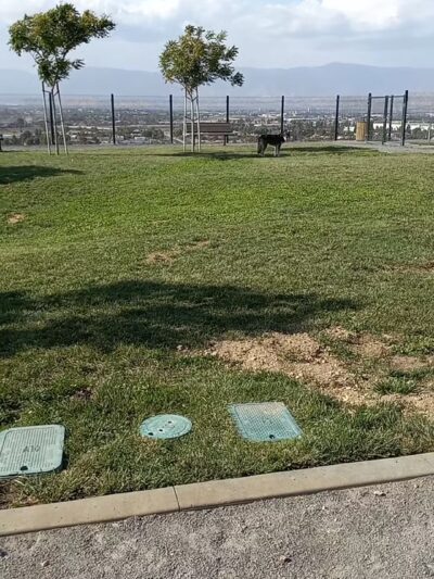 Grand Terrace Dog Park - Grand Terrace, CA