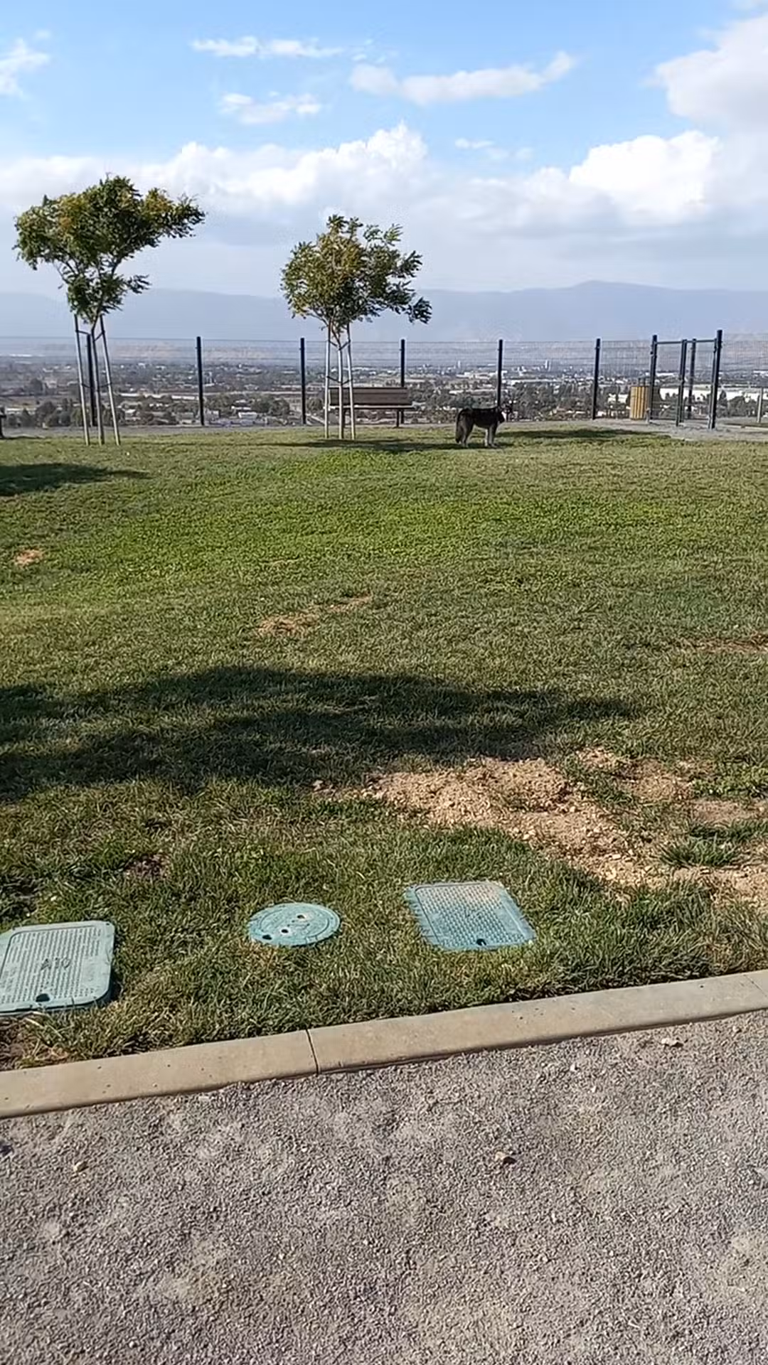 Grand Terrace Dog Park - Grand Terrace, CA