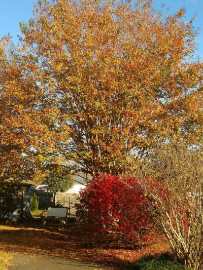 Baton Walking Park - Granite Falls, NC